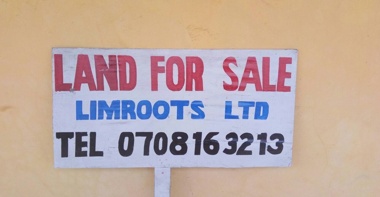 limroots land